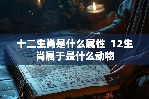 十二生肖是什么属性  12生肖属于是什么动物