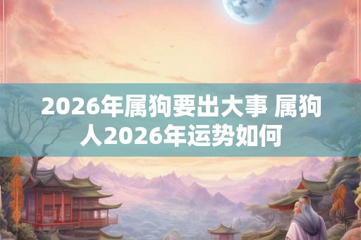 2026年属狗要出大事 属狗人2026年运势如何 2026年属狗要出大事 属狗人2026年运势如何