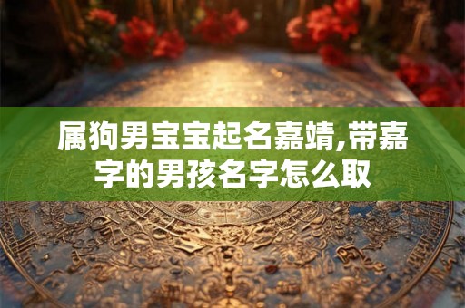 属狗男宝宝起名嘉靖,带嘉字的男孩名字怎么取