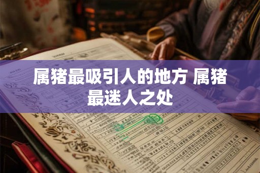 属猪最吸引人的地方 属猪最迷人之处