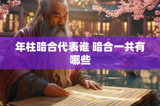 年柱暗合代表谁 暗合一共有哪些 年柱暗合代表谁 暗合一共有哪些