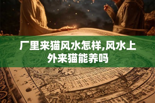 厂里来猫风水怎样,风水上外来猫能养吗