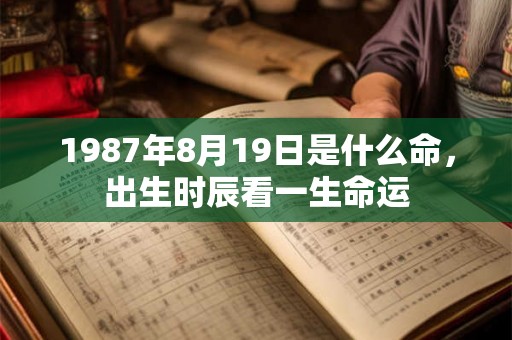 1987年8月19日是什么命，出生时辰看一生命运