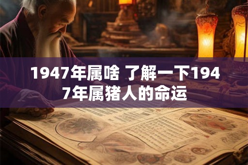 1947年属啥 了解一下1947年属猪人的命运