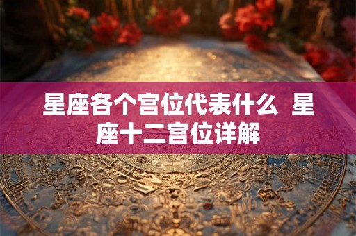 星座各个宫位代表什么  星座十二宫位详解