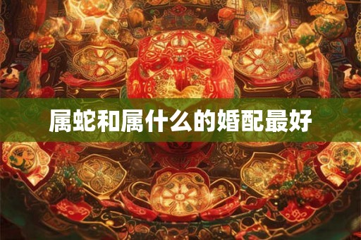 属蛇和属什么的婚配最好