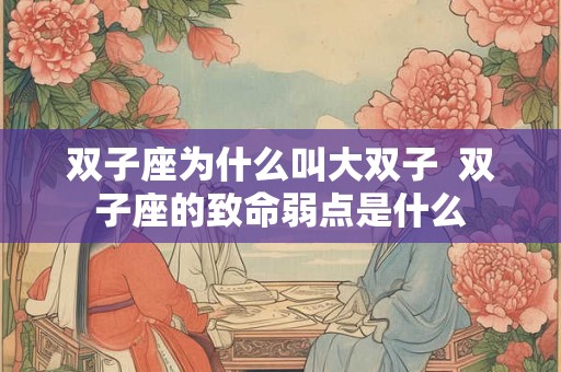 双子座为什么叫大双子 双子座的致命弱点是什么 双子座为什么叫大双子 双子座的致命弱点是什么