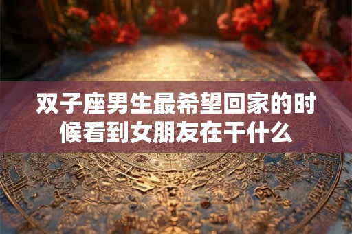双子座男生最希望回家的时候看到女朋友在干什么