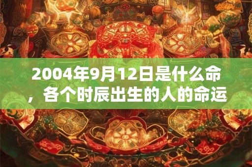 2004年9月12日是什么命，各个时辰出生的人的命运