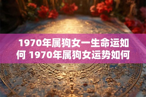 1970年属狗女一生命运如何 1970年属狗女运势如何