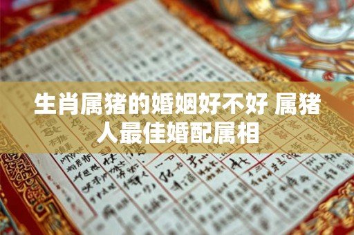 生肖属猪的婚姻好不好 属猪人最佳婚配属相