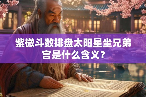 紫微斗数排盘太阳星坐兄弟宫是什么含义？