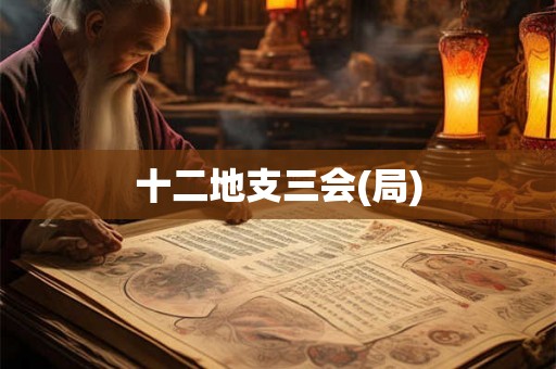 十二地支三会(局) 十二地支三会(局)