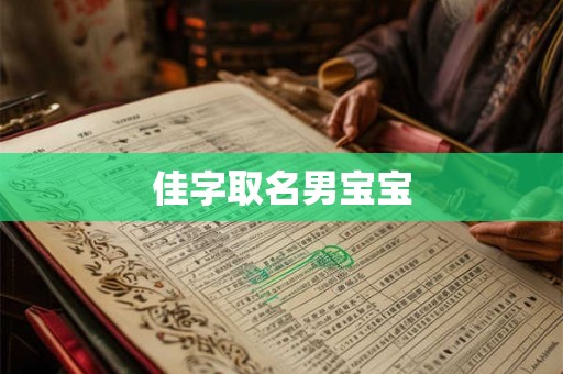 佳字取名男宝宝