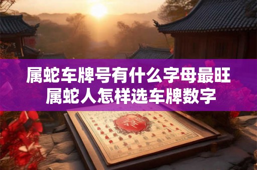 属蛇车牌号有什么字母最旺 属蛇人怎样选车牌数字