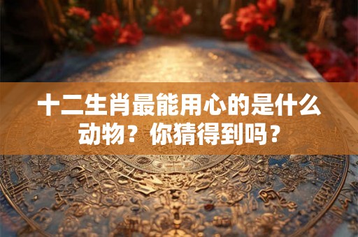 十二生肖最能用心的是什么动物？你猜得到吗？