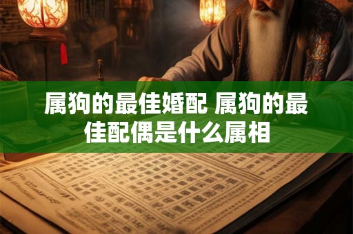 属狗的最佳婚配 属狗的最佳配偶是什么属相