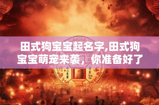 田式狗宝宝起名字,田式狗宝宝萌宠来袭,你准备好了吗? 田式狗宝宝起名字,田式狗宝宝萌宠来袭,你准备好了吗?