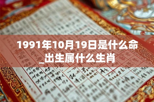 1991年10月19日是什么命_出生属什么生肖