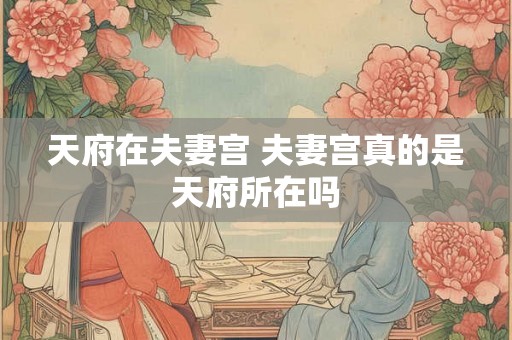 天府在夫妻宫 夫妻宫真的是天府所在吗