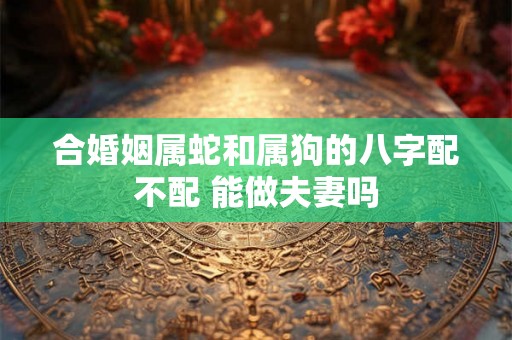 合婚姻属蛇和属狗的八字配不配 能做夫妻吗