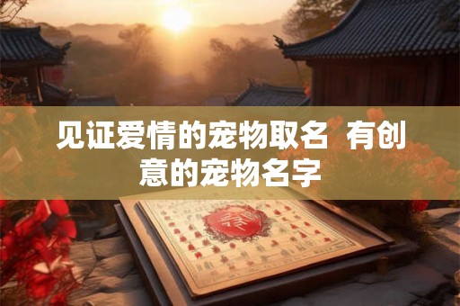 见证爱情的宠物取名 有创意的宠物名字 见证爱情的宠物取名 有创意的宠物名字