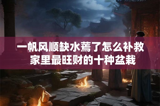 一帆风顺缺水蔫了怎么补救  家里最旺财的十种盆栽