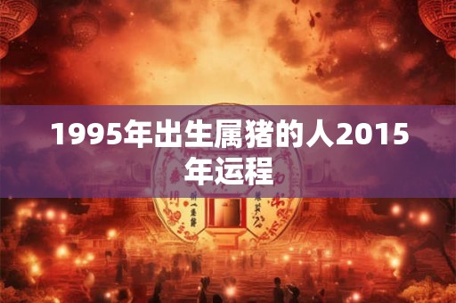 1995年出生属猪的人2015年运程