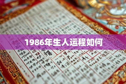 1986年生人运程如何