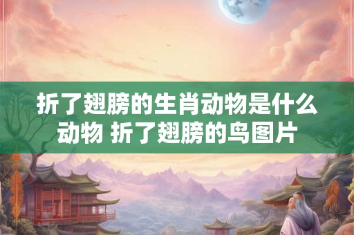折了翅膀的生肖动物是什么动物 折了翅膀的鸟图片