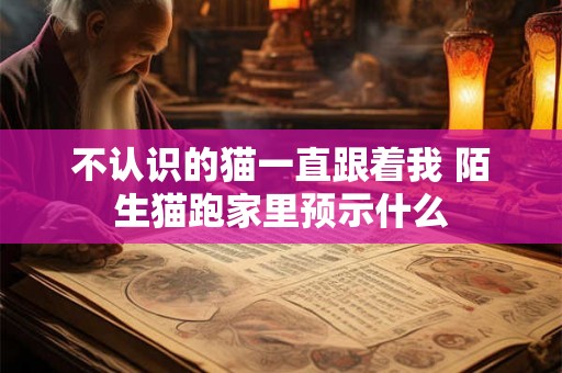 不认识的猫一直跟着我 陌生猫跑家里预示什么 不认识的猫一直跟着我 陌生猫跑家里预示什么
