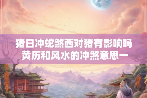 猪日冲蛇煞西对猪有影响吗 黄历和风水的冲煞意思一样吗