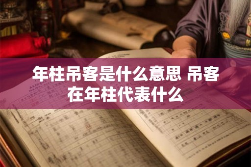 年柱吊客是什么意思 吊客在年柱代表什么 年柱吊客是什么意思 吊客在年柱代表什么