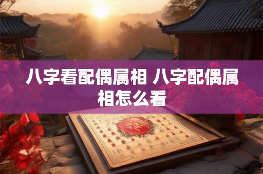 八字看配偶属相 八字配偶属相怎么看