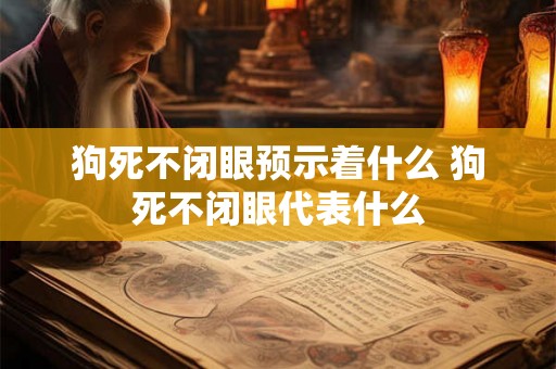 狗死不闭眼预示着什么 狗死不闭眼代表什么