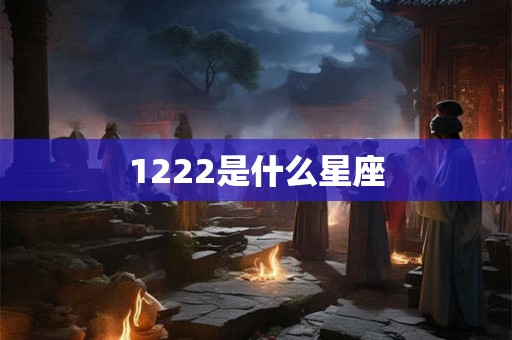 1222是什么星座