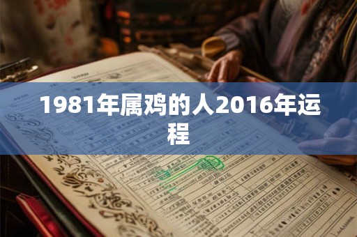 1981年属鸡的人2016年运程