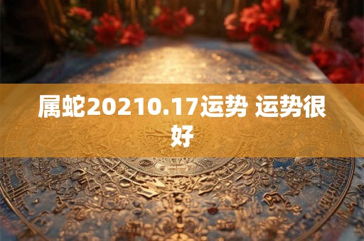 属蛇20210.17运势 运势很好