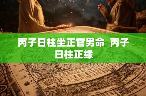 丙子日柱坐正官男命 丙子日柱正缘 丙子日柱坐正官男命 丙子日柱正缘