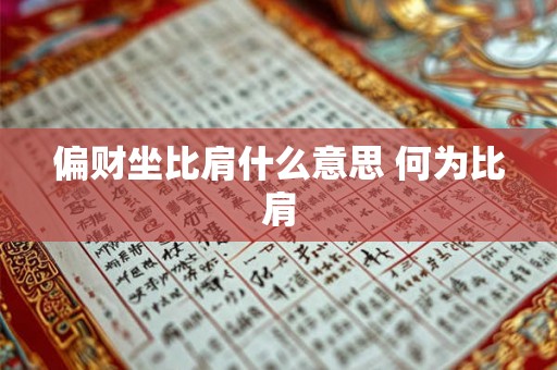 偏财坐比肩什么意思 何为比肩 偏财坐比肩什么意思 何为比肩
