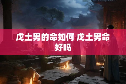 戊土男的命如何 戊土男命好吗