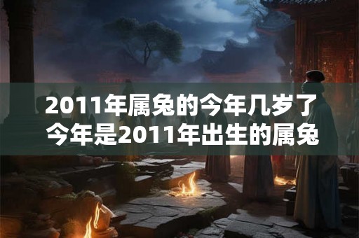2011年属兔的今年几岁了 今年是2011年出生的属兔的几岁了 2011年属兔的今年几岁了 今年是2011年出生的属兔的几岁了