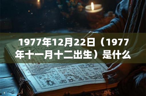 1977年12月22日(1977年十一月十二出生)是什么命_命运如何 1977年12月22日(1977年十一月十二出生)是什么命_命运如何