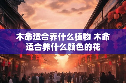 木命适合养什么植物 木命适合养什么颜色的花 木命适合养什么植物 木命适合养什么颜色的花