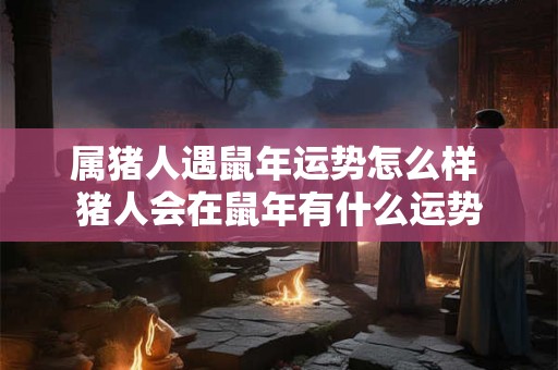 属猪人遇鼠年运势怎么样 猪人会在鼠年有什么运势 属猪人遇鼠年运势怎么样 猪人会在鼠年有什么运势
