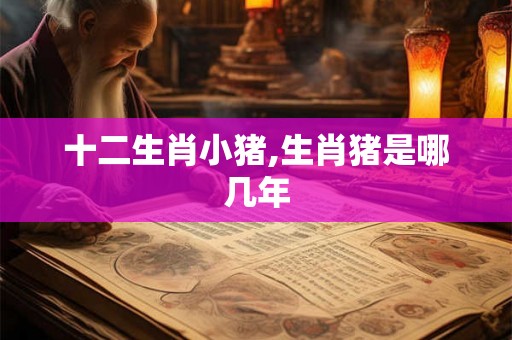 十二生肖小猪,生肖猪是哪几年