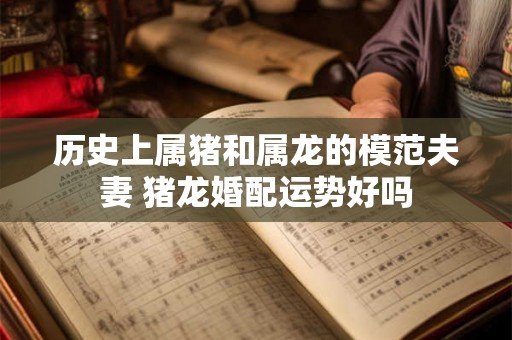 历史上属猪和属龙的模范夫妻 猪龙婚配运势好吗 历史上属猪和属龙的模范夫妻 猪龙婚配运势好吗