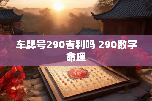 车牌号290吉利吗 290数字命理
