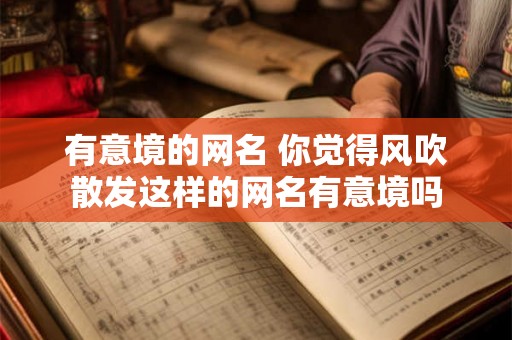 有意境的网名 你觉得风吹散发这样的网名有意境吗
