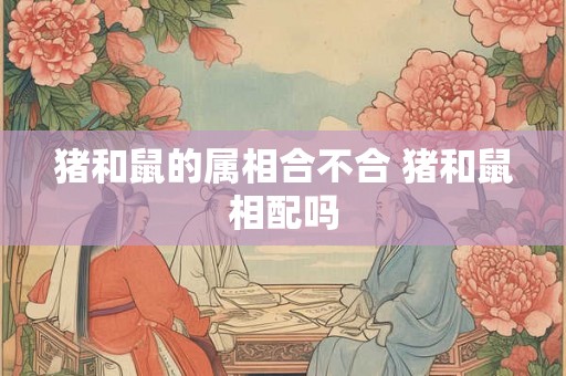 猪和鼠的属相合不合 猪和鼠相配吗